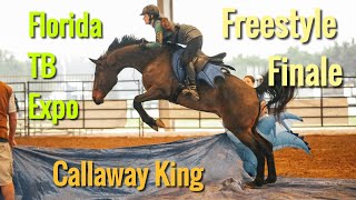 Bridleless Freestyle Finale with Callaway King at the Florida Thoroughbred Transformation Expo