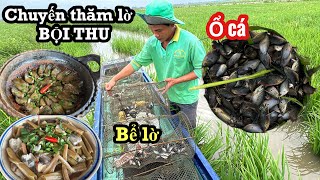 Ông Sáu Truyền Trang Cuối Cho Giang • ĐẶT LỜ CẢI TIẾN CÁ VÀO NHIỀU THẤY HAM | BLĐT