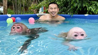 Bibi surprised when swimming race with baby monkey!