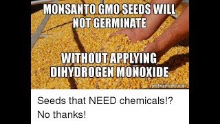 2 MINUTES ON GMO FOODS AND MONSANTO KNOWN AS THE KILLER COMPANY