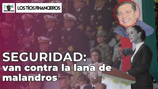 Seguridad: van contra la lana de malandros | #LosTíosFinancieros