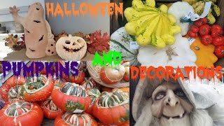 Halloween pumpkins and decorations store tour