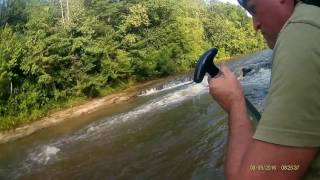 My morning's  paddleboarding trip on the Choctawhatchee river