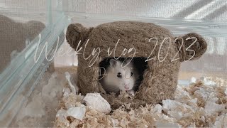 Weekly diary 🐹 OCT | hamster adoption | house hunting | easy chicken rice kit🐓