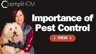 Uncover Hidden Pest Threats in Your Home - A Must-Watch!