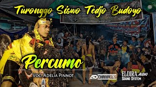 Lagu Percumo ~ Voc.Adelia Pinnot Jaranan Teuronggo Tedjo Budoyo X Eldira Aidio