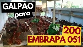 GALPÃO para 200 EMBRAPA 05I. Conheça nossa estrutura #galinhacaipira #criacaodegalinhas