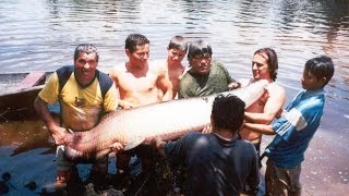 A Fuego Lento - Pedro Miguel Schiaffino - Amazonía Peruana.