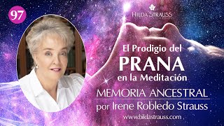 Prodigio del Prana en la Meditacion