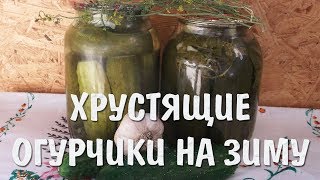 Классический рецепт №1 консервации огурцов