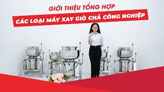 Giới thiệu tổng hợp các loại Máy xay giò chả công nghiệp