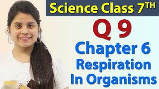 Q 9, Page No. 68 - 69 - Chapter 6 - Respiration in Organisms - Science Class 7th NCERT