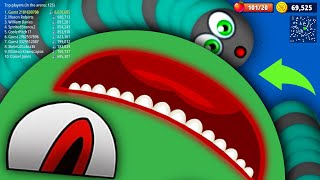 WormsZone.io World Biggest Worm Trolling With Tiny Worm Epic WormsZoneio Best Gameplay Moments #586