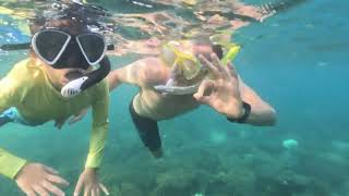 🐠 Cùng Plan To Travel trải nghiệm TOUR SNORKELING PHÚ QUỐC và 1 ngày khám phá đại dương CỰC ĐÃ 🔥 🔥 🔥