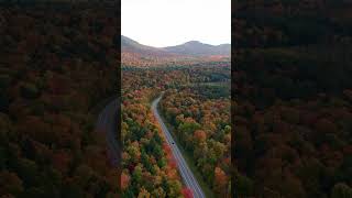 Driving the autumn road magic #travel #dronevideo #fall