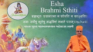 Esha Brahmi Sthiti||Mahamahopadhyaya Bhadreshdas Swami||Janmashtami_Special_utsav||baps pravachan