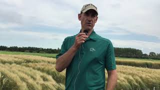 Winter Wheat Fertility Management