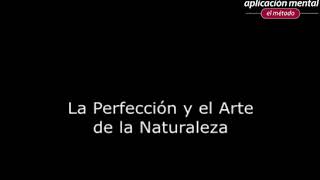 La Perfección y el Arte en la Naturaleza