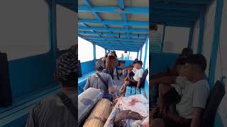 Horse On The Boat #mtgililombok #mtgililombokchannel #Boat#horse#shortsfeed #feedshorts#shorts#short