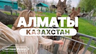 Алматы 2024. Работает ли карта мир? Как сделать мультикарту гражданину РФ? Про зоопарк.