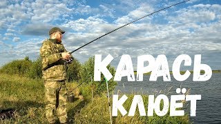 Ловля Карася в Пруду в Сильный Ветер. Карась на Донку.