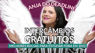 Como estudar fora de graça: UWC 2022, mestrado na Argentina + bolsas de estudo - Partiu Intercâmbio