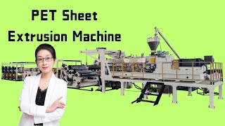 PET sheet extrusion line single multilayers layer plastic plate making machine supplier extruder