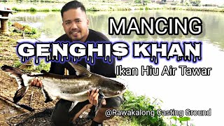 Mancing Ikan Predator Air Tawar Genghis Khan di RCG (Rawakalong Casting Ground)