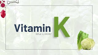 Vitamin K | All you need to know