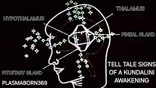 TELL TALE SIGNS OF A KUNDALINI AWAKENING