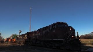 CP 8144 at Craighurst (29OCT2022)