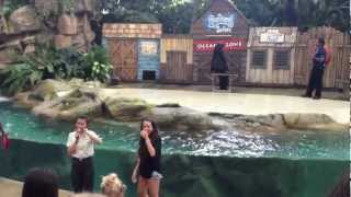 Sea Lion Show - Singapore Zoo.