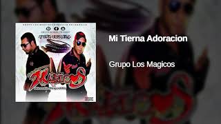 Mi Tierna Adoración Grupo Los Magicos 2019 Limpia Audio HQ