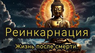 Жизнь после смерти. Реинкарнация. Буддизм.