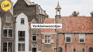 Verkleinwoordjes - Mr. Chadd Academy