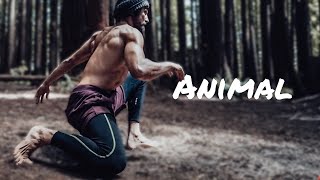 5 Animal Movements (Primal Lifestyle)