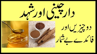 Daar Cheeni Ke Fawaid |,benefits of cinnamon tea|,cinnamon,in urdu