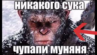 чупапи муняня не будет!!!!