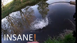 Catching fish off the surface