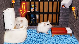 Hamster Escapes from the Minecraft Prison Maze Obstacle Course