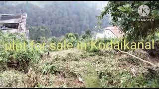 #plotforsaleinkodaikanal #landforsaleinkodaikanal #kodaikanal #kodai cont 8072660564