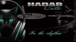 Hadab Cats - In the rhythm