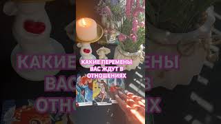 КАКИЕ ПЕРЕМЕНЫ ВАС ЖДУТ В ОТНОШЕНИЯХ#love #отношения #таро #like #любовь #live