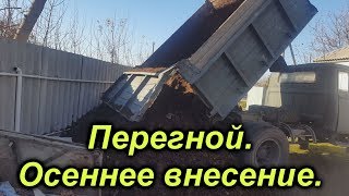 Осеннее внесение перегноя -очень важное действие.