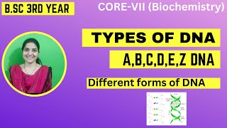 Types of DNA B.Sc 3rd Year #DifferentformsofDNA||Difference Between A B & Z DNA||#biochemistry