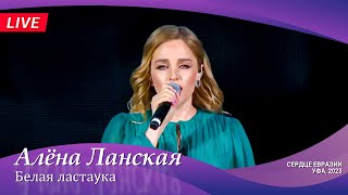 Алена Ланская - Белая Ластаӯка