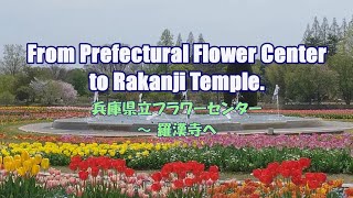 From Hyougo Prefectural Flower Center to Rakanji Temple.（兵庫県立フラワーセンター ～ 羅漢寺へ）