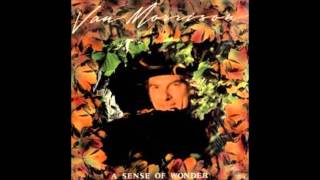 Let the Slave (Incorporating The Price of Experience) - Van Morrison