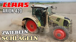 Zwiebeln schlägeln 🧅 👨‍🌾  | Claas Arion 420 🚜 | Landwirtschaft Niederbayern