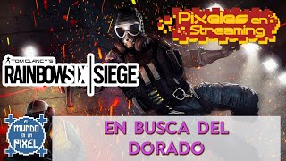 🚨*Rainbow six* tratando de llegar a oro